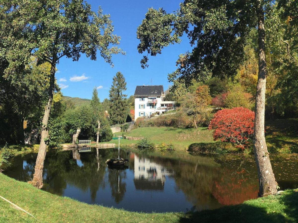 Appartements Maison Bellevue Munster  Zewnętrze zdjęcie