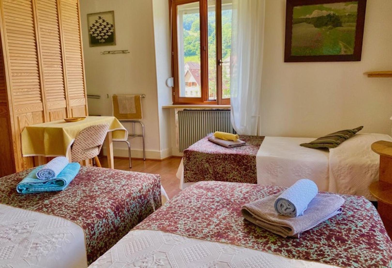 Appartements Maison Bellevue Munster  Zewnętrze zdjęcie